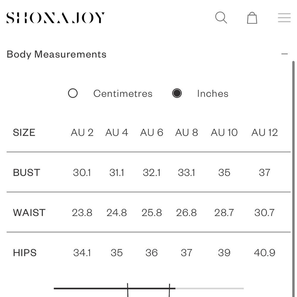 Shona Joy Limon Panelled Bustier Maxi Dress - US 4 *BNWT* - Picture 12 of 13